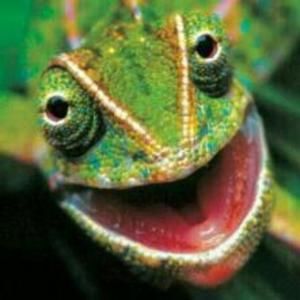 Meet your Posher, Derek